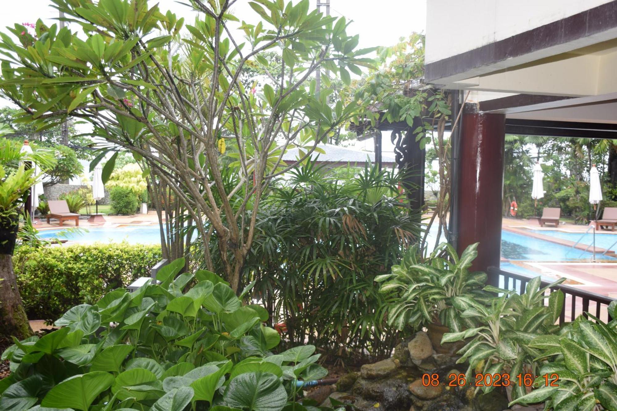 Kalim Residence Patong Eksteriør billede